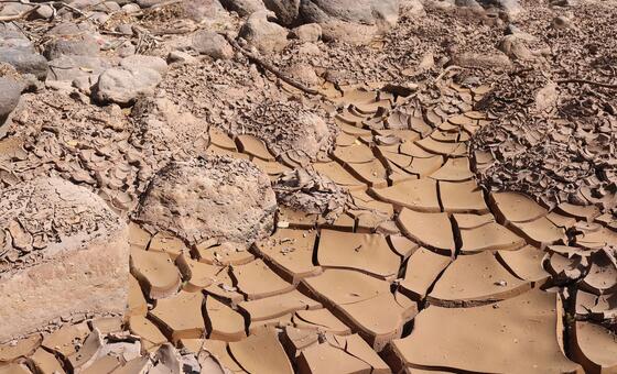 El Niño gana fuerza en América Latina: sequía, hambre y riesgo de inundaciones marcan los próximos meses